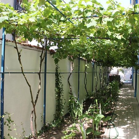 Hotel Vila Alex Costineşti Exterior foto