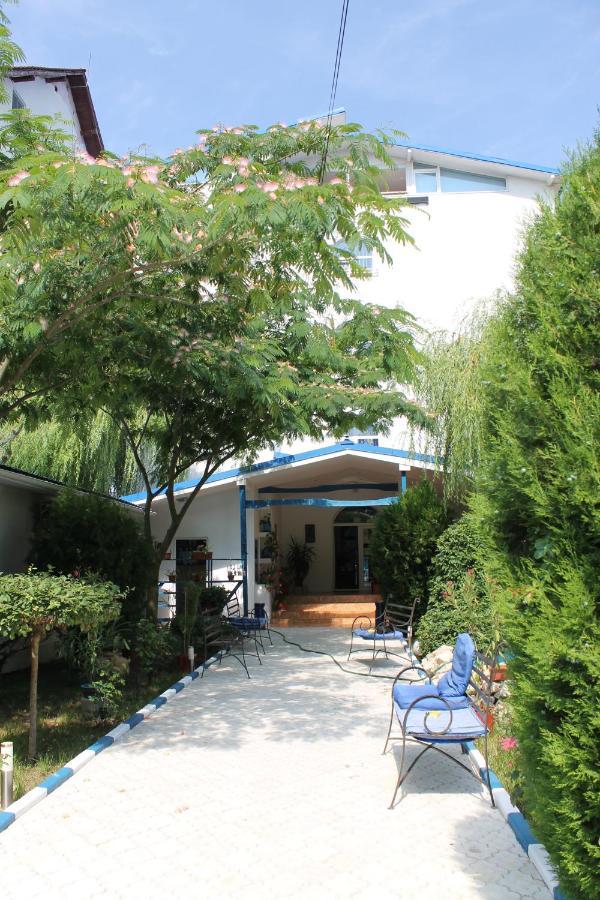 Hotel Vila Alex Costineşti Exterior foto